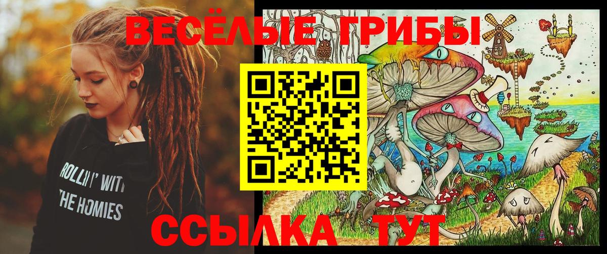 Псилоцибиновые грибы Magic Shrooms  Псилоцибиновые грибы мицелий  Вход с VPN  цены наркотик  Ливны 