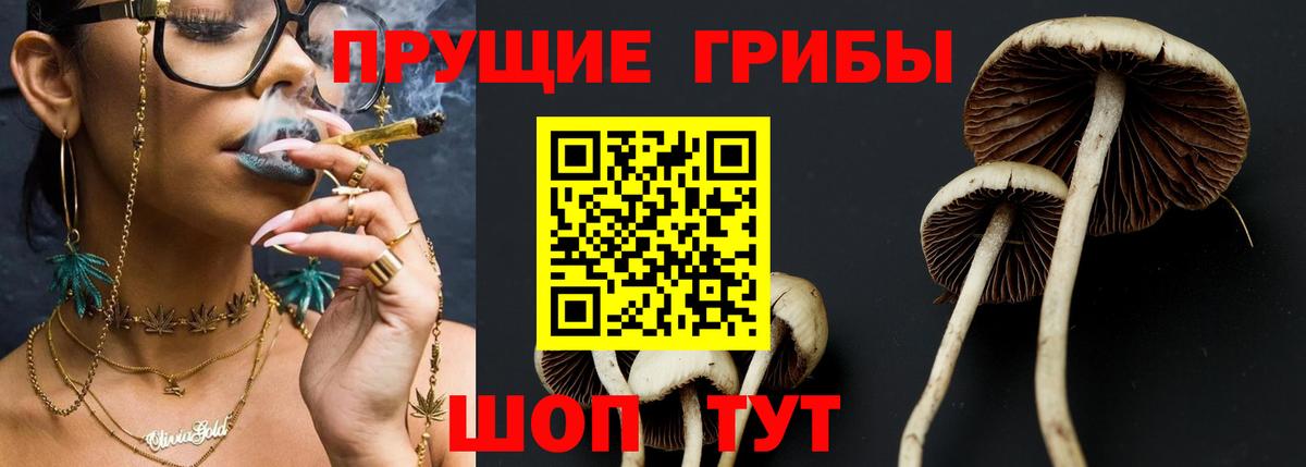 Псилоцибиновые грибы прущие грибы Ливны